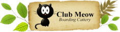 Club Meow Boarding Cattery