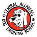 Wellington Puppy School Dog Training