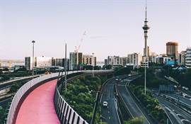 cheap things to do in Auckland