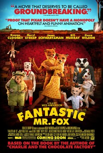 Best Amazon Prime Movies NZ - Fantastic Mr. Fox (2009)