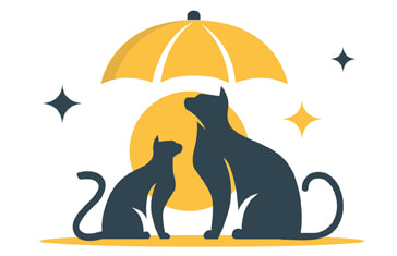 Cat and Dog Insurance NZ