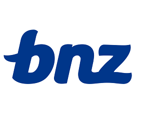 BNZ Rapid Repay Revolving credit home loan