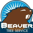 Beaver Tree Services Wellington