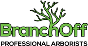 BranchOff Ltd