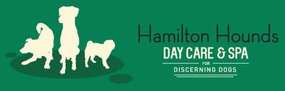 Top 4 Dog Boarding Kennels in Hamilton