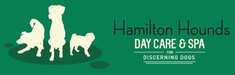best doggy day care providers Hamilton