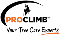 Pro Climb Tree Care
