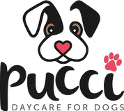 Pucci DayCare For Dogs