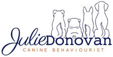 Christchurch Puppy School Dog Training