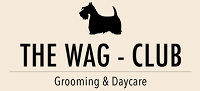 best doggy grooming Tauranga